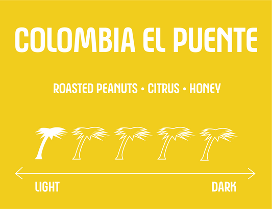 Colombia El Puente (Washed)