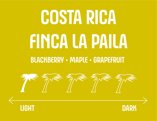 Costa Rica Finca La Paila