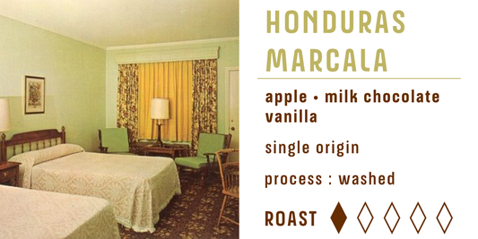 Honduras Marcala (Organic)