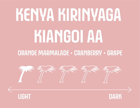 Kenya Kirinyaga Kiangoi AA