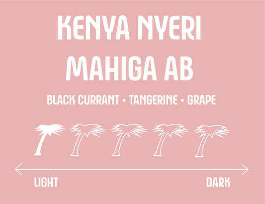 Kenya Nyeri Mahiga AB