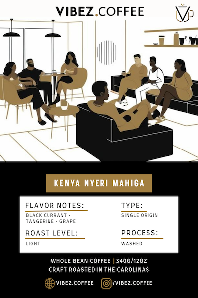 Kenya Nyeri Mahiga AB (Vibez)