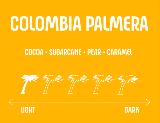 Colombia Palmera