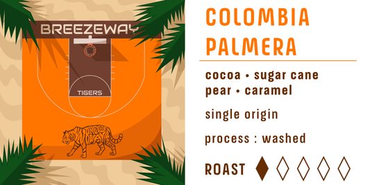 Colombia Palmera