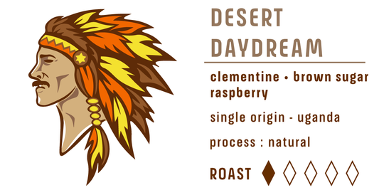 Boxed Set: Indian Summer & Desert Daydream