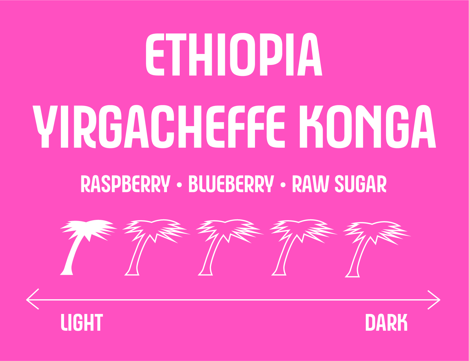 Ethiopia Yirgacheffe Konga