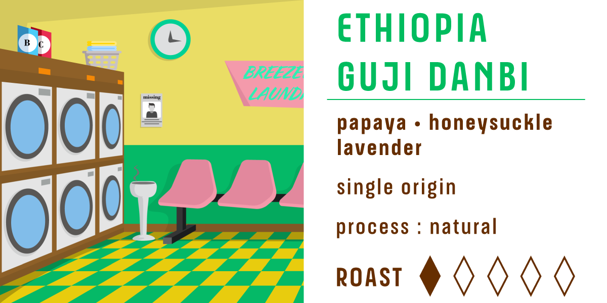 Ethiopia Guji Danbi