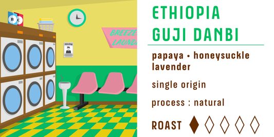 Ethiopia Guji Danbi