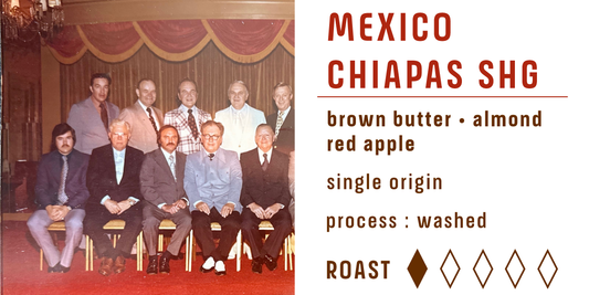 Mexico Chiapas SHG