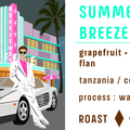 Summer Breeze